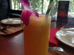 -花马天堂云南餐厅 Lost Heaven(高邮路店)