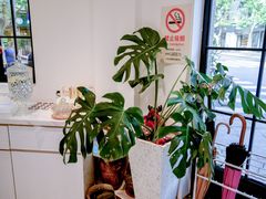 -Fridi Patisserie Cafe