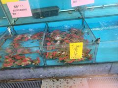 -崖口红树林海鲜餐厅