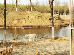 -东郊湿地公园