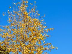 -渭河城市绿地运动公园