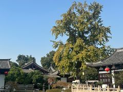 -常熟方塔园