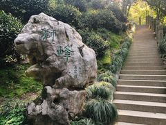 -十八棵（老龙井）御茶园(老龙井店)