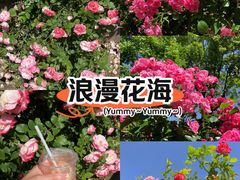 -大岭沟猕猴桃谷风景区