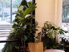 -COTTON CAFE(德信·中外公寓店)