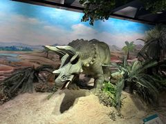 -国家自然博物馆