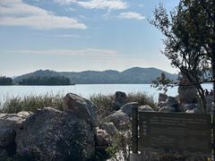 -东湖落雁景区