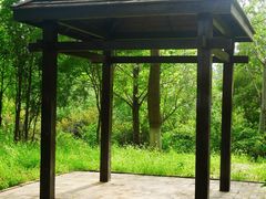 -东升八家郊野公园