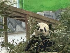 -临沂动植物园