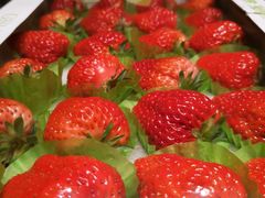 -果蔬好生活超市(乐堤港店)