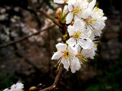 -驿舍·民國老营房院子私房菜(白市驿店)