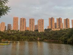 -重庆彩云湖湿地公园