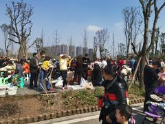 -枫香湖儿童公园