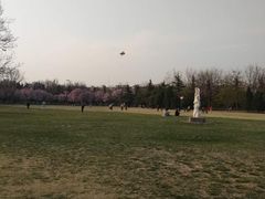 -泰丰公园