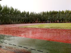 -东北师范大学(净月大街校区)