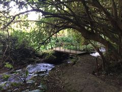 -莫里热带雨林景区