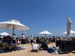 -日照海滨国家森林公园