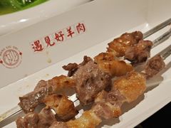 -红柳枝滩羊烧烤·非遗
