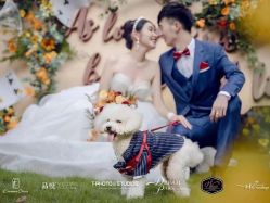 -诺丁山婚礼企划
