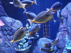 -成都浩海立方海洋公园