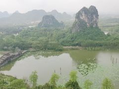 -南宁花花大世界景区