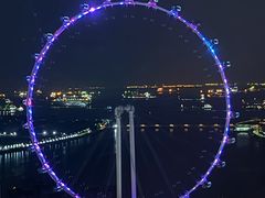 -新加坡泛太平洋酒店