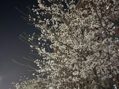 -瑞幸咖啡(浙江大学紫金港校区店)