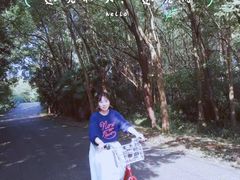 -东平国家森林公园