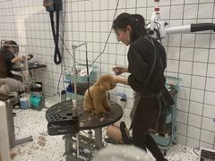 -BABIT巴比特宠物(MOMOPARK店)