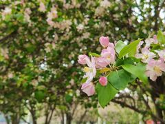 -天鹅湖体育公园