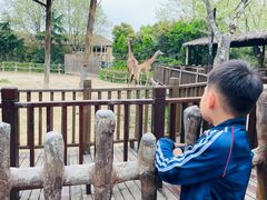 -上海野生动物园老虎餐厅