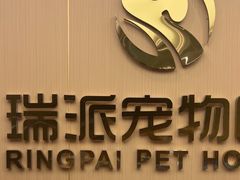 -瑞派康怡24h宠物医院·犬猫医疗中心·微创绝育(瑞景分院)
