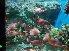 -福州罗源湾海洋世界旅游区