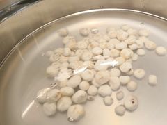 -烹然四季椰子鸡火锅(姚家园万象汇店)