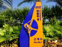 -演武大桥观景平台