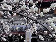-龙华寺
