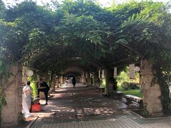 -西安外国语大学(长安校区)