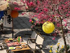 -桃源山庄·水蜜桃采摘·柴火鸡·烧烤团建(龙泉山店)