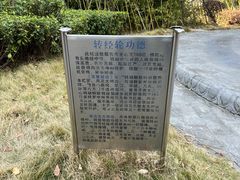 -九华山公园