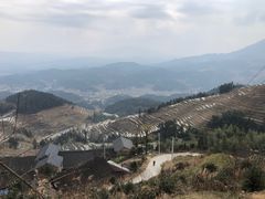 -紫鹊界梯田景区