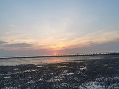 -南汇嘴观海公园