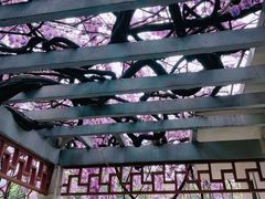 -郑和公园