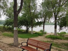 -大兴滨河森林公园