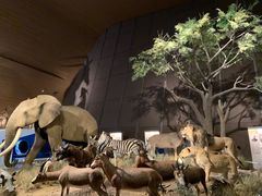 -贝林大翅鲸简餐厅(国家海洋博物馆店)