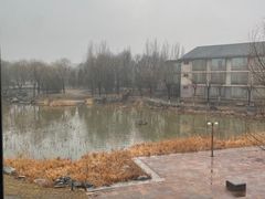 -东方苑自助餐厅(稻香湖景酒店)