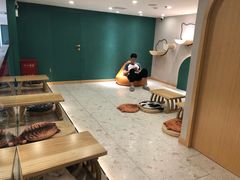 -飞行喵MR PILOT|猫舍·猫咖(静安大融城店)