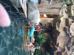 苏州乐园•水上世界-苏州乐园森林水世界