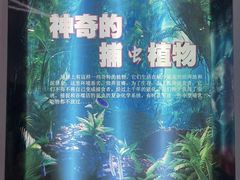 -苏州青少年科技馆