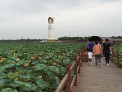 -白洋淀景区