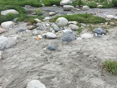 -海窝子古镇